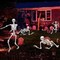 5.4Ft Halloween Life Size Skeleton,2PCS Posable Skeleton Full Body Size Realistic Human Bones with Movable Joints for Indoor Outdoor Halloween Decoration (Grey)